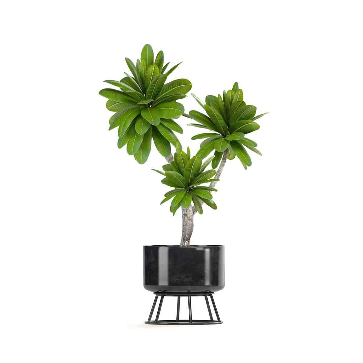 https://www.kshydro.com/wp-content/uploads/2018/09/product_08.jpg